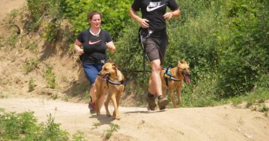 Hard Dog Race – új sport van születőben? Hard Dog Race – új sport van születőben?