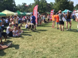 Walking Dog kutyás piknik