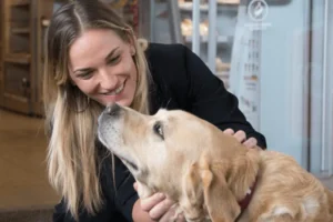 MOL kutyabarát töltőállomás benzinkút kutyával