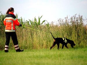 K9 kutya emberkeresés