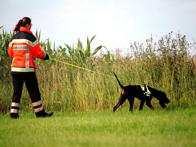 K9 kutya emberkeresés