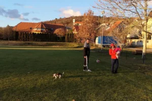 Hotel Mayer Superior kutyabarát szállás, Balaton