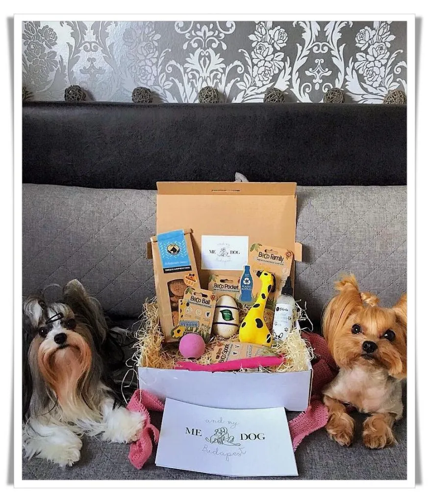 ME and my DOG Budapest