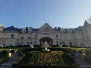 Borostyán Med Hotel - kutyabarát szállás