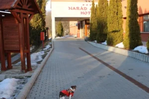Kutyabarát hotel Mátra - Hotel Narád & Park**** szálloda Mátraszentimre