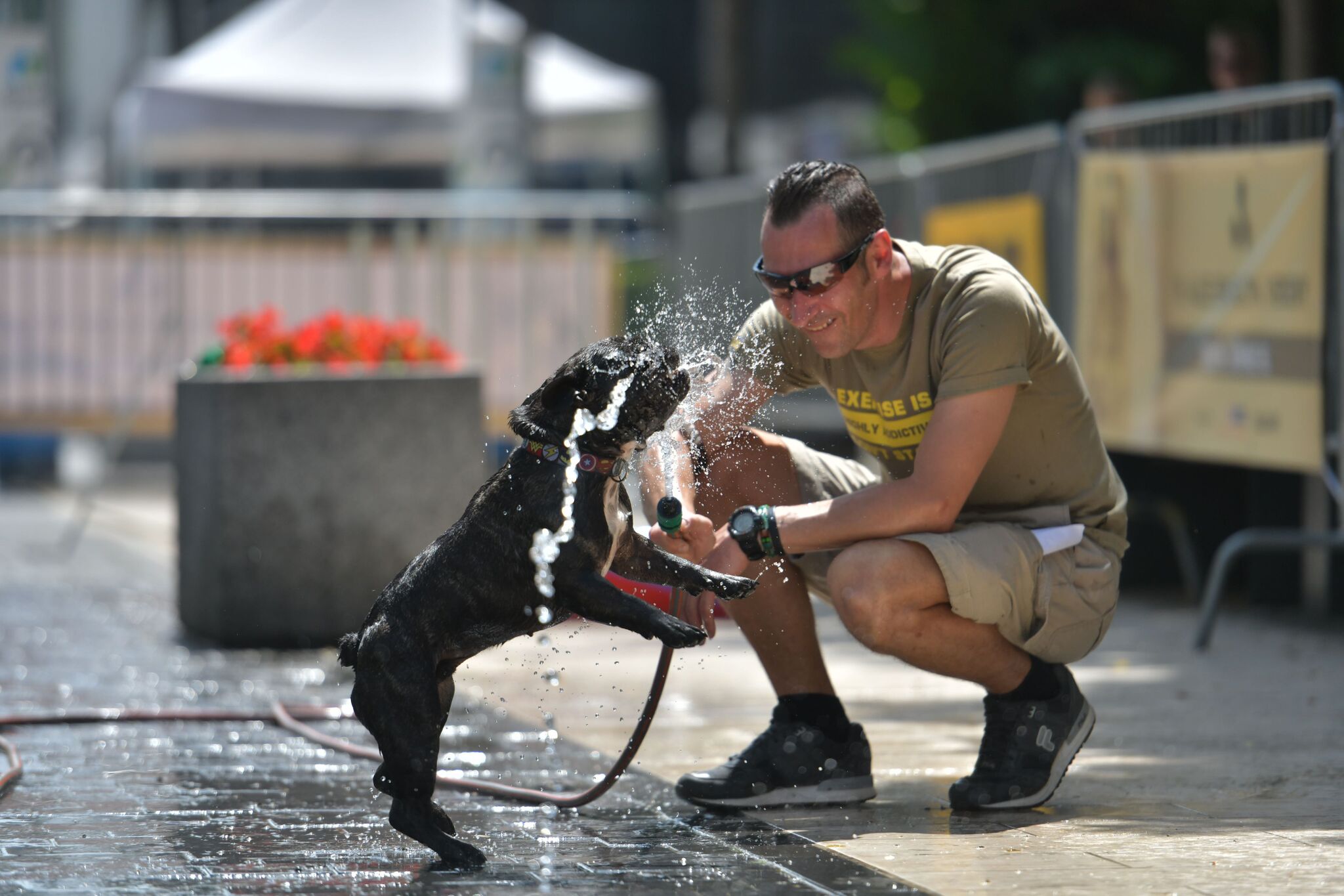 kutya örökbefogadás