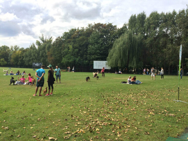 Walking Dog Kutyás Piknik 2016