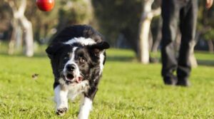 Miért gyakoroljatok többször rövidebb ideig?