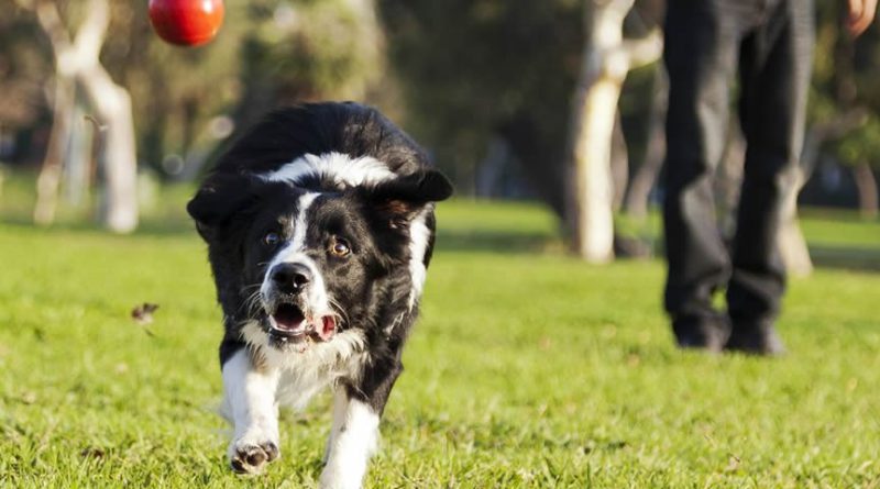 Miért gyakoroljatok többször rövidebb ideig?