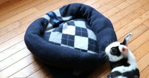 5 szuper dolog, amit otthon is elkészíthetsz kutyusodnak