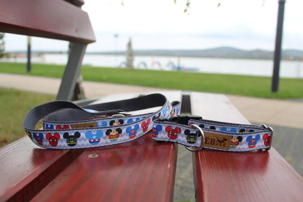 kutya nyakörv, kutyás termékek