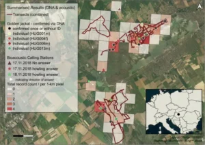 keresőkutyák, sakálok feltérképezése
