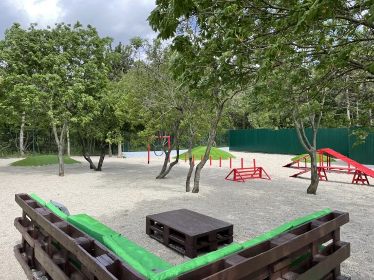 kutya agility pálya