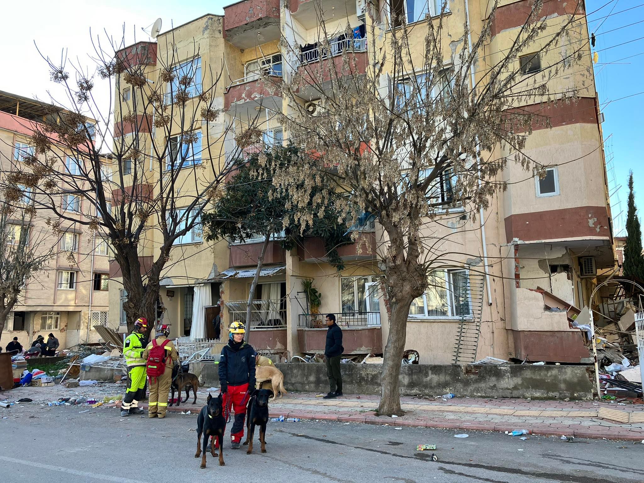 Kutyás mentés Antalya földrengés