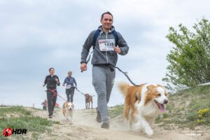 hard dog race kutyás verseny