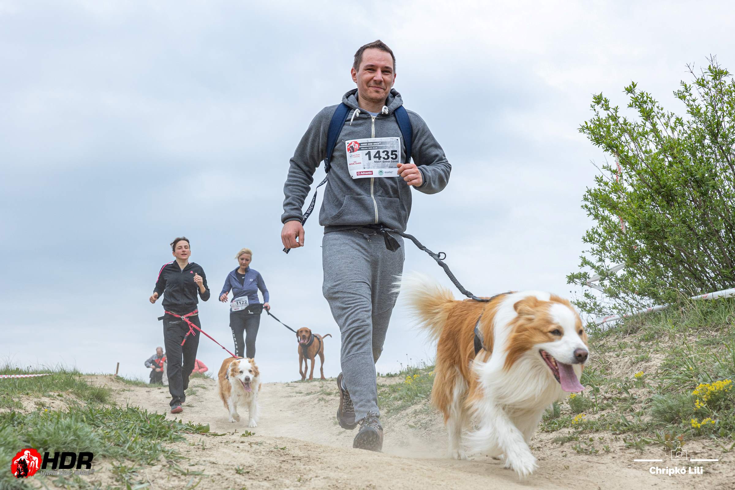 hard dog race kutyás verseny