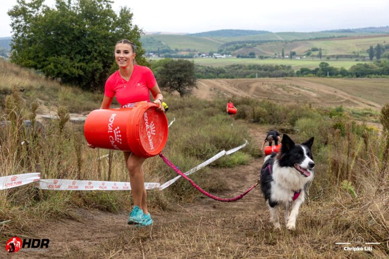 HDR Base kutyás verseny