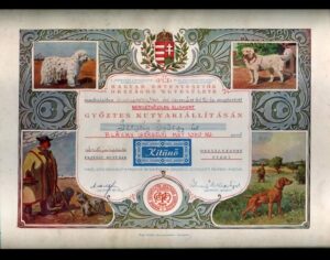 Kutyatörtenti gyüjtemény a Nemzeti Múzeumban