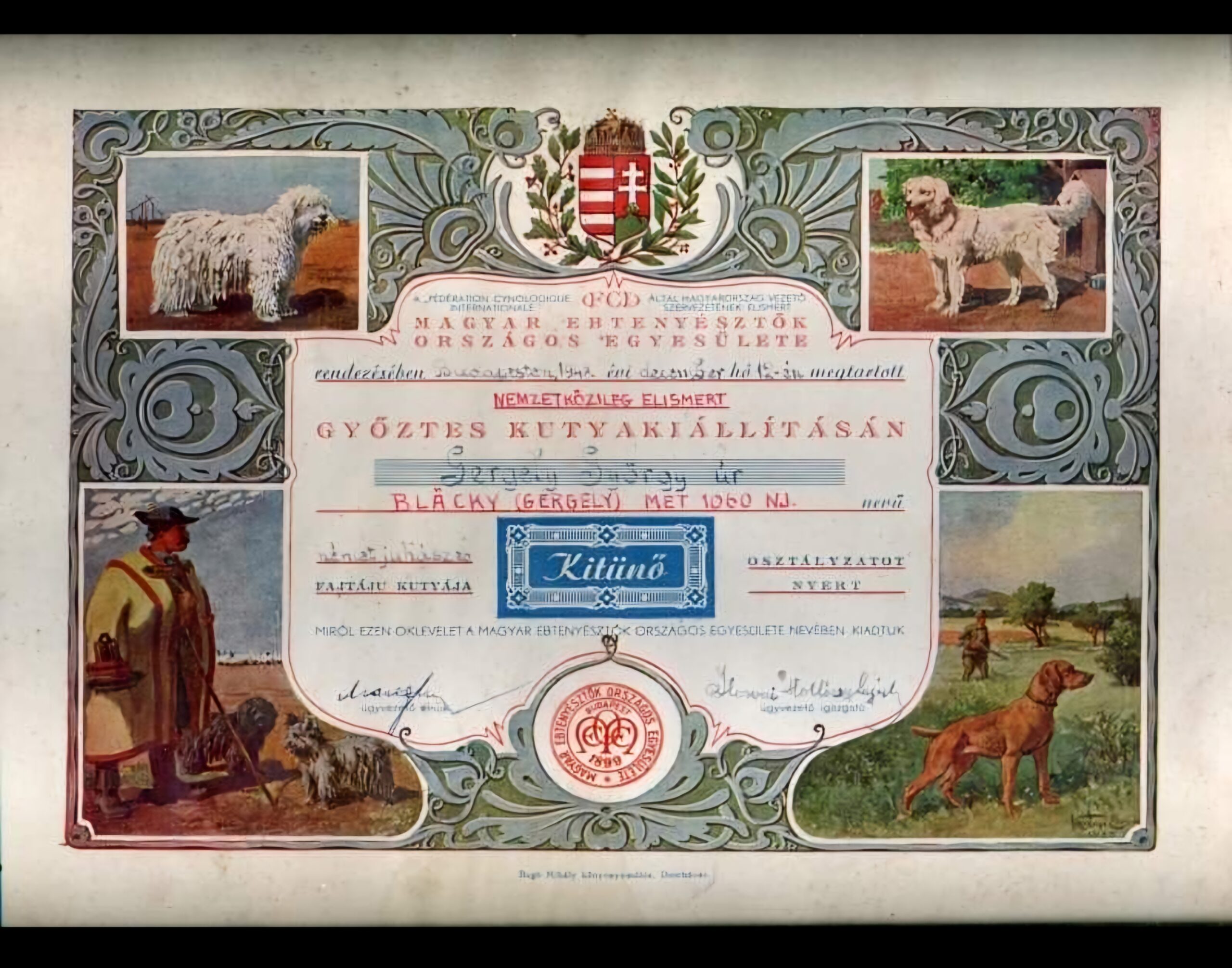 Kutyatörtenti gyüjtemény a Nemzeti Múzeumban