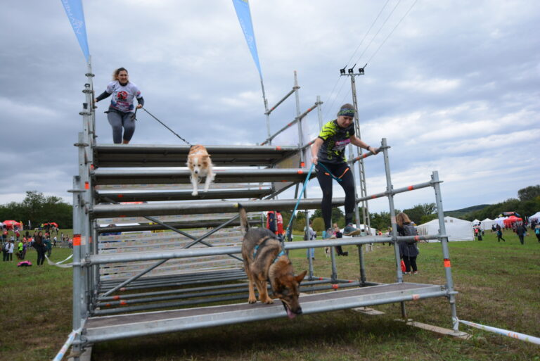 Hard Dog Race kutyás verseny