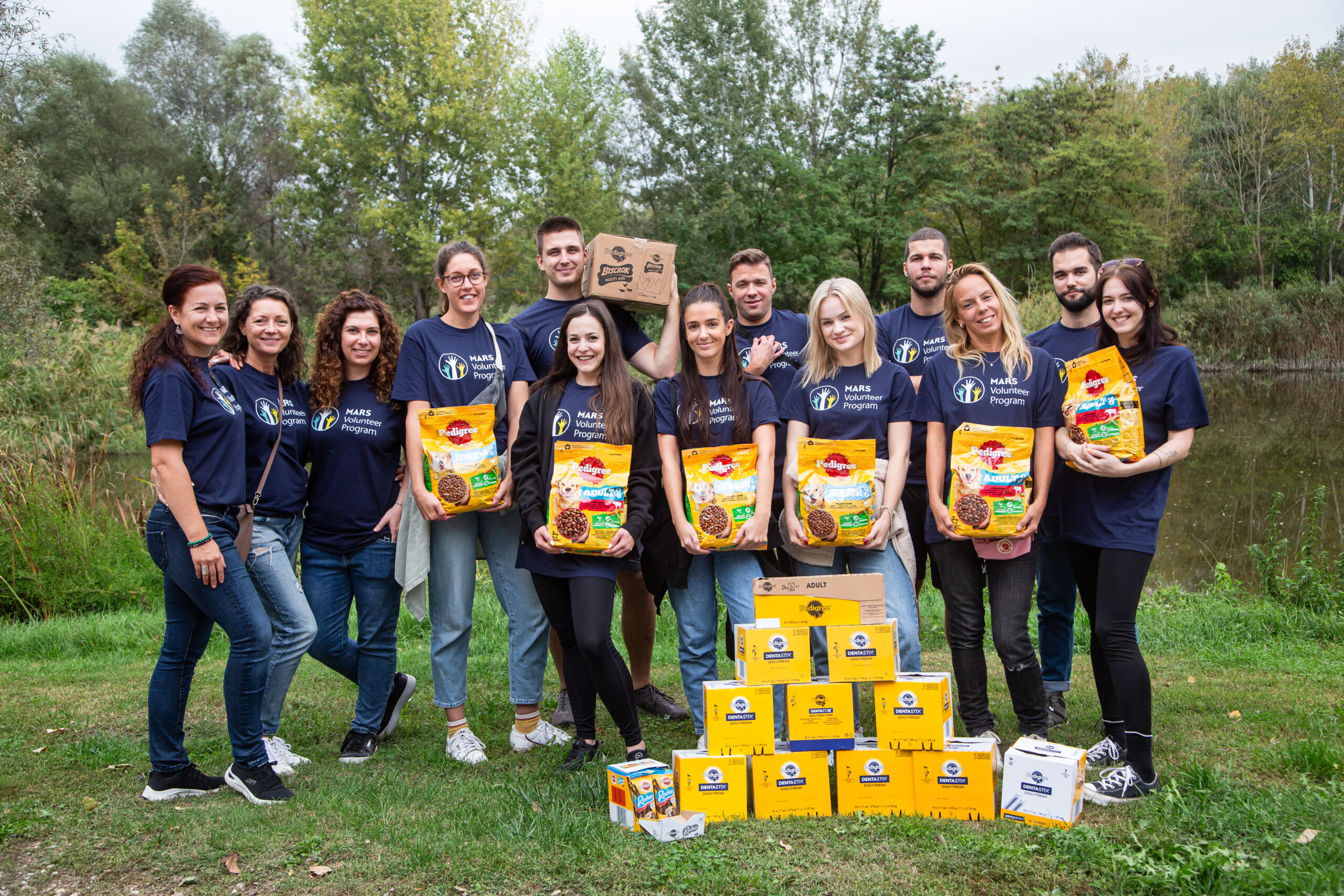 sok kutya vár örökbefogadásra