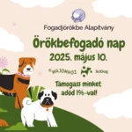 Fogadj örökbe alapítvány örökbefogadó nap