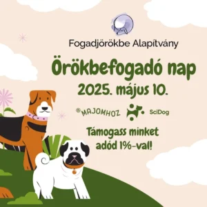 Fogadj örökbe alapítvány örökbefogadó nap