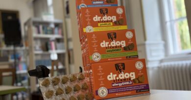 Dr.Dog Vitaminok: egészséges kutyák a fókuszban
