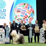 World Dog Show 2026 kutyakiállítás - magyar siker