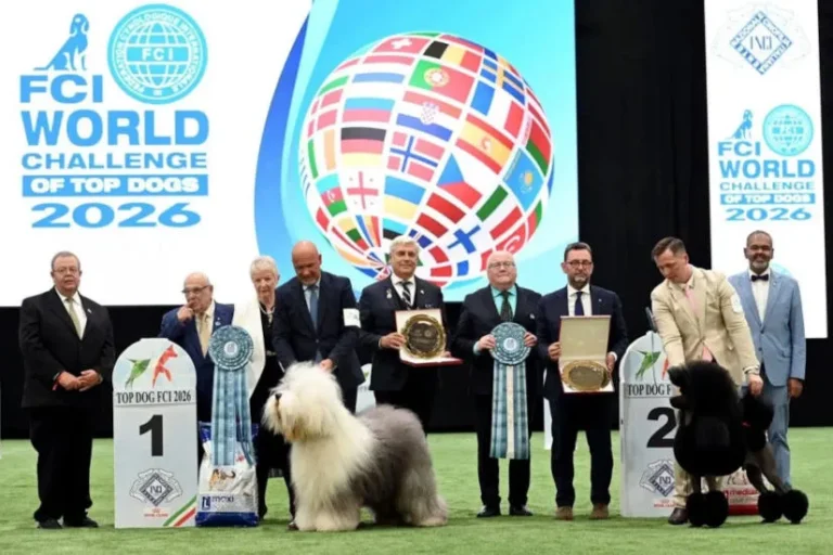 World Dog Show 2026 kutyakiállítás - magyar siker