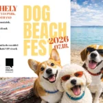 Dog Beach Fest 2026 – Balatoni Kutyás Fesztivál